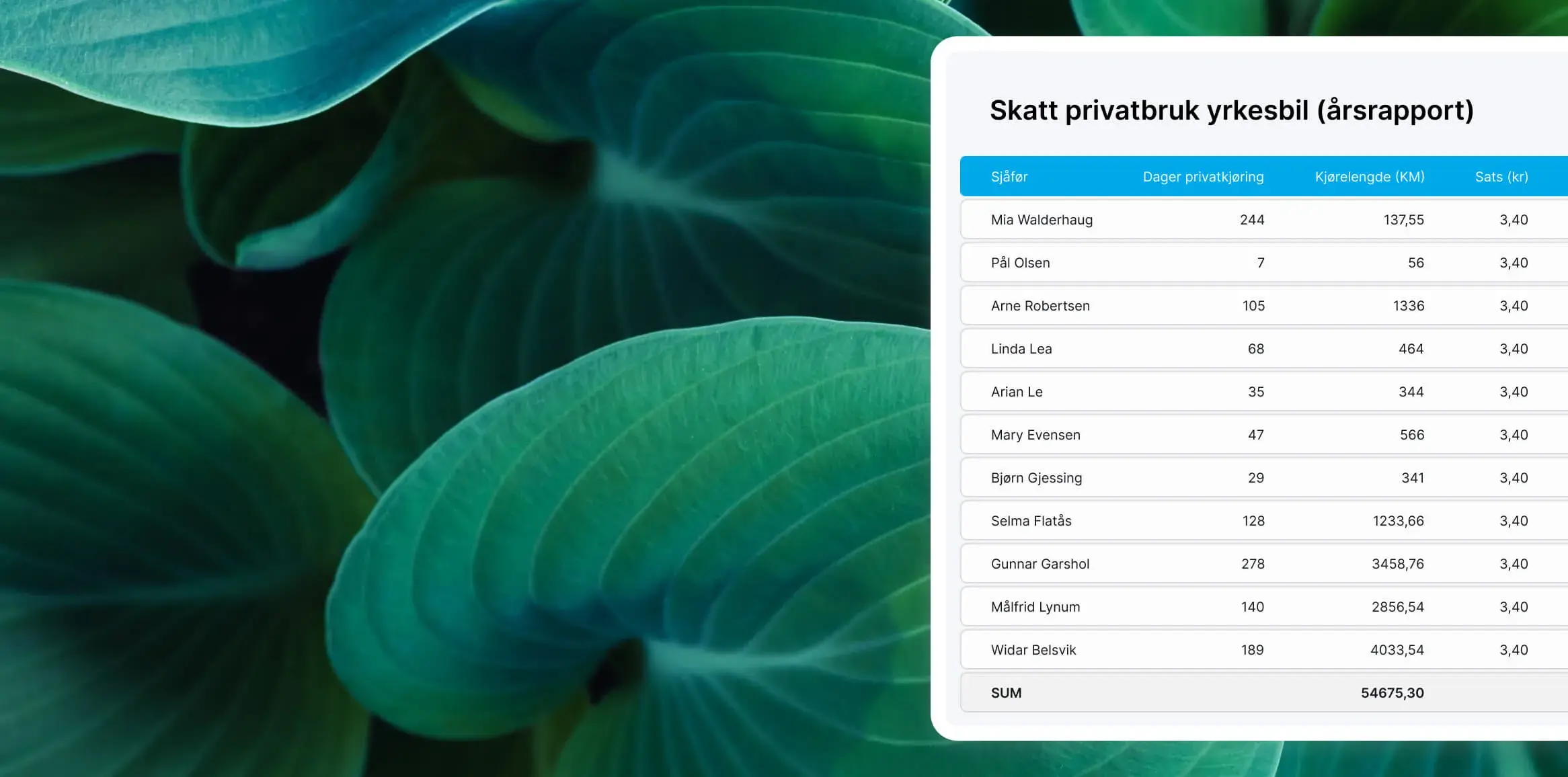 65535ad799eeda82b2a4d1a2_Bransje hovedbilde (2) (1)